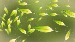 Bright yellow and green feathers float in front of a muted green background. Stock Footage