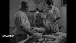 Free clinic vet cemetery Instructional Video