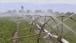 Soil Formation Instructional Video