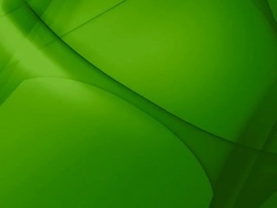(Loop) Dynamic Geometrical Green Curves Stock Footage