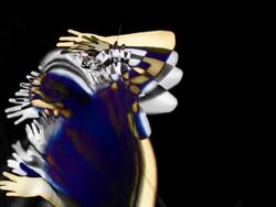 Abstract Dancer Gold Stock Footage