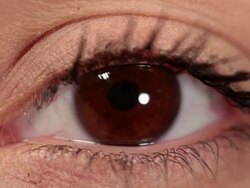 CU Brown eye blinking iris / Sao Paulo, Brazil Stock Footage