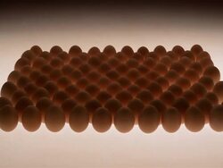 CU, Rows of brown eggs against white background Stock Footage