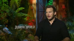 INTERVIEW - Chris Pratt on his love for animals at the 'Jurassic World' interview Stock Footage