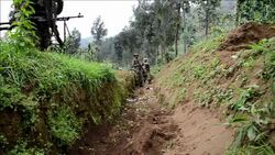 CLEAN : DRC Rwanda scrap over clump of trees News Clip