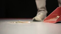 Sweeping Stock Footage