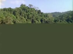 Aerial over Panama rainforest, Barro Colorado Island (BCI).  Panama. Stock Footage