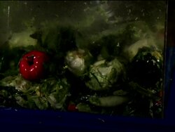 Medium Close Up, Locked Down - A blender purees vegetables / USA Stock Footage