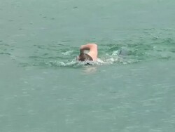 HD: Lake Swimming Stock Footage