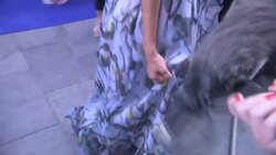 A glowing Zoe Saldana wearing a flowing dress at the red carpet premiere of "Guardians of the Galaxy" News Clip