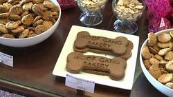 VOICED: Galletas para perros gourmet News Clip