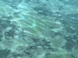 Ocean floor with caustics Stock Footage