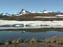 WS, HA, King penguins (Aptenodytes patagonicus) on snow patch by pond, snow capped mountains in background, South Georgia Island, Falkland Islands, British overseas territory Stock Footage