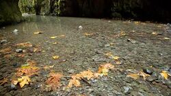 Columbia Gorge Stock Footage