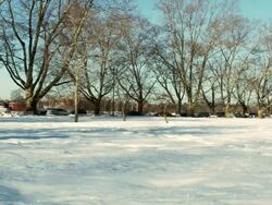 MS Shot of traffic in distance seeing over field of snow/ Boston, Massachusetts, United States Stock Footage