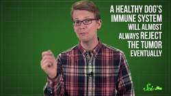 Can You Catch Cancer? Instructional Video