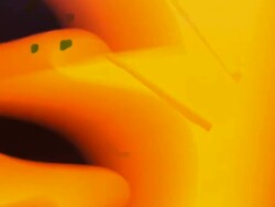 SALE: busy shopping street in london - TRANSITION Stock Footage