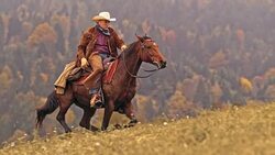 SLO MO DS Rancher riding uphill on horse in gallop Stock Footage