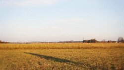 Horseback riding - training Stock Footage