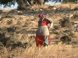 VOICED: Argan oil throws Moroccan women a new lifeline News Clip