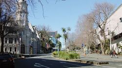 Quiet Street Outside Auckland Art Gallery Stock Footage