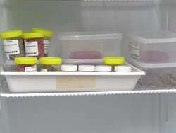 Meat Samples - Food Control Laboratory, Cardiff News Clip