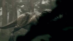 A Tyrannosaurus Rex roars in a forest  and its spine and organs are revealed in a computer-generated animation. Stock Footage