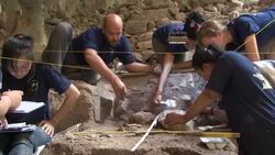 Cave continues to give up secrets 50 years on News Clip