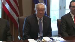 Trump Praises Greece as PM Visits White House Instructional Video
