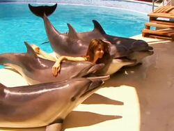 Dolphins and girl Stock Footage