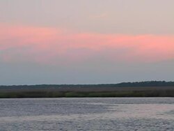 going home Stock Footage