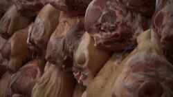 Shanks of raw meat fill a sausage making plant. Stock Footage