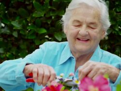 ELDERLY WOMAN TRIMMING FLOWERS Stock Footage