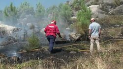 CLEAN : Portugal forest fire rages on News Clip