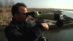 Wildlife wardens calculate migratory bird numbers News Clip