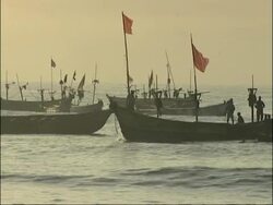 African coast. Stock Footage