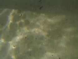 underwater Stock Footage