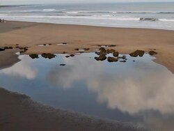 ROCK POOL ON BEACH Stock Footage