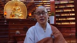 University courses in  meditation and relationships News Clip