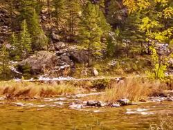Autumn river Stock Footage