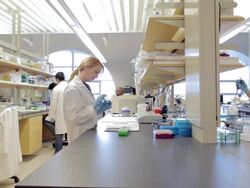 MS PAN Lab technicians working in laboratory Cancer research Healthcare medicine Industry DNA sequencing Laboratory / Vancouver, BC, Canada    Stock Footage