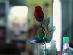 MS Shot of plastic rose standing in plastic container/  Vang Vieng, Vientiane, Laos Stock Footage