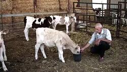 VOICED : Blame flows freely as West Bank taps run dry News Clip