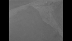 CAN550 BELGIAN REFUGEES CONGO, MOBUTU INTERVIEW Instructional Video