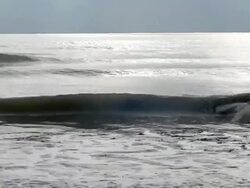 Waves and Seagulls Stock Footage
