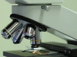 Scientist looks into microscope Stock Footage