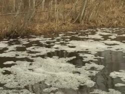 Polluted River Stock Footage