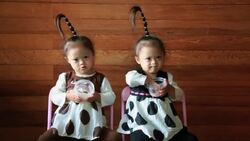 Twin girls with tall ponytails sit on folding chairs while eating snacks. Stock Footage