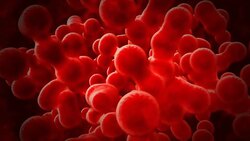Abstract Red Blood Cells Stock Footage