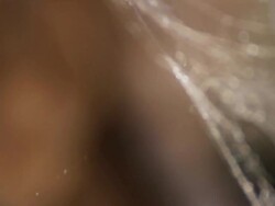 ï»¿Spider web background. Stock Footage